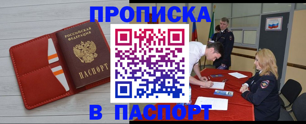 прописка гарантия в Ершове